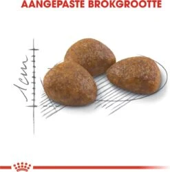 Royal Canin Outdoor 7+ - 4 Kg -Winkel Voor Kattenbenodigdheden 1184x1200 2