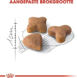 Royal Canin Sensible 33 - Kattenvoer - 10+2 Kg Bonusbag 18 Royal Canin Sensible 33 - Kattenvoer - 10+2 Kg Bonusbag -Winkel Voor Kattenbenodigdheden 1185x1200 1