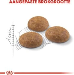 Royal Canin Outdoor - Kattenvoer - 10 Kg -Winkel Voor Kattenbenodigdheden 1186x1200 2