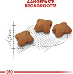 Royal Canin Kitten Sterilised - Kattenvoer - 2 Kg -Winkel Voor Kattenbenodigdheden 1186x1200 3