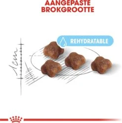 Royal Canin Mother & Babycat - Kattenvoer - 4 Kg -Winkel Voor Kattenbenodigdheden 1186x1200 7