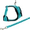 Trixie Kattentuig Mesh Y-vorm Met Elastische Riem (36-60X100 CM) -Winkel Voor Kattenbenodigdheden 1186x1200 9