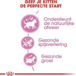 Royal Canin Kitten - Kittenvoer - 4 Kg 26 Royal Canin Kitten - Kittenvoer - 4 Kg -Winkel Voor Kattenbenodigdheden 1188x1200 2