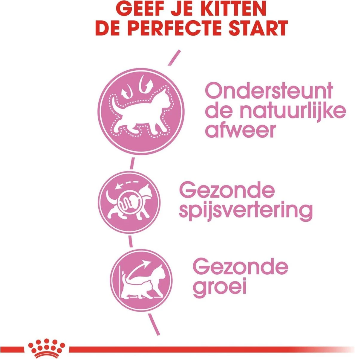 Royal Canin Kitten - Kittenvoer - 4 Kg 7 Royal Canin Kitten - Kittenvoer - 4 Kg - Afbeelding 5