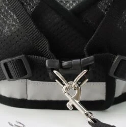 Merkloos Kittentuigje - Kattentuigje Reflecterend - Kattenharnas - Kattentuig Met Looplijn - Zwart - Maat XS -Winkel Voor Kattenbenodigdheden 1188x1200 9