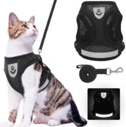 Merkloos Kittentuigje - Kattentuigje Reflecterend - Kattenharnas - Kattentuig Met Looplijn - Zwart - Maat XS -Winkel Voor Kattenbenodigdheden 1189x1200 5