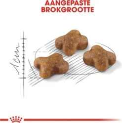 Royal Canin Kitten - Kittenvoer - 4 Kg 24 Royal Canin Kitten - Kittenvoer - 4 Kg -Winkel Voor Kattenbenodigdheden 1190x1200 1