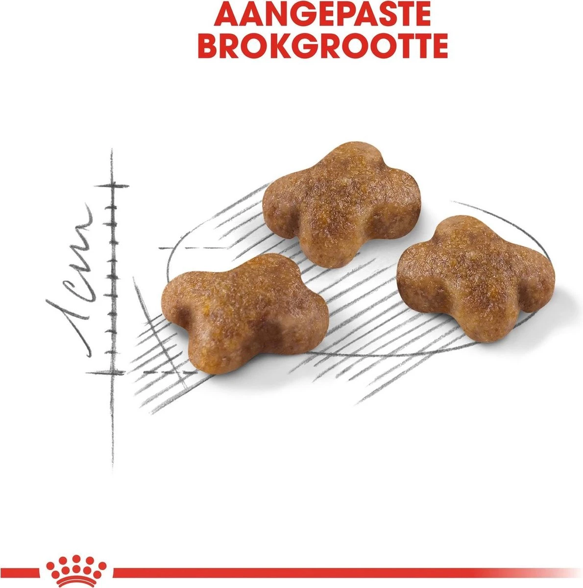 Royal Canin Kitten - Kittenvoer - 4 Kg 5 Royal Canin Kitten - Kittenvoer - 4 Kg - Afbeelding 3