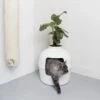 XXL Kattenbak – Verborgen Kattentoilet – Flower XXL Wit Voor Grote Katten Van RHRQuality -Winkel Voor Kattenbenodigdheden 1190x1200 10
