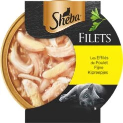 Sheba Filets - Katten Natvoer In Saus - Kipfilet Stukjes - 16 X 60 Gr 6 Sheba Filets - Katten Natvoer In Saus - Kipfilet Stukjes - 16 X 60 Gr -Winkel Voor Kattenbenodigdheden 1193x1200