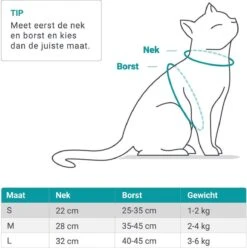 Merkloos Kattentuigje Met Looplijn | Zwart Kattenharnas | Easy Step In | Kattenriem | Kattenlijn | Kattentuig | Maat S -Winkel Voor Kattenbenodigdheden 1195x1200 2