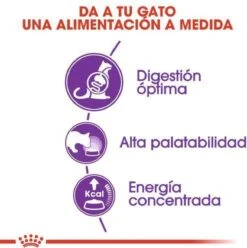 Royal Canin Sensible 33 - Kattenvoer - 10+2 Kg Bonusbag 17 Royal Canin Sensible 33 - Kattenvoer - 10+2 Kg Bonusbag -Winkel Voor Kattenbenodigdheden 1197x1200 5