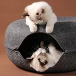 Merkloos A.K.A. Kattentunnel En Kattenmand In-1 – Kattenspeelgoed Speeltunnel Kattenhuis – Kattenhol Rond Kattenspeeltjes - Cat Cave Donut - Antraciet Vilt -Winkel Voor Kattenbenodigdheden 1198x1200 18