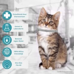 Biologische Vlooien- En Tekenband Voor Katten - BLAUW - Zonder Giftige Pesticiden - Veilig En Verantwoord 15 Biologische Vlooien- En Tekenband Voor Katten - BLAUW - Zonder Giftige Pesticiden - Veilig En Verantwoord -Winkel Voor Kattenbenodigdheden 1199x1200 1