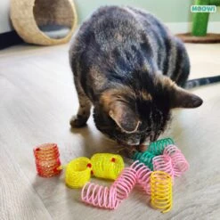 Moowi - Springveren 30 Stuks - Kat - Kattenveertjes - Kattenspeelgoed -Winkel Voor Kattenbenodigdheden 1199x1200 23