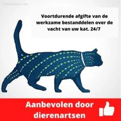 Biologische Vlooien- En Tekenband Voor Katten - BLAUW - Zonder Giftige Pesticiden - Veilig En Verantwoord 13 Biologische Vlooien- En Tekenband Voor Katten - BLAUW - Zonder Giftige Pesticiden - Veilig En Verantwoord -Winkel Voor Kattenbenodigdheden 1199x1200