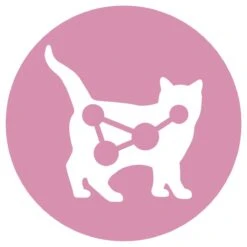 Purina ONE Junior - Kip/Granen - Kattenvoer - 800 G -Winkel Voor Kattenbenodigdheden 1199x1200 5