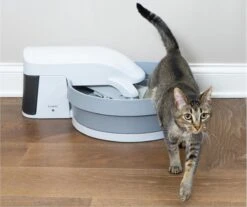 Zelfreinigende Kattenbak - PetSafe Simply Clean - Fluisterstil Met Koolstoffilter Tegen Geurtjes -Winkel Voor Kattenbenodigdheden 1200x1005 1