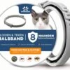 Vlooienband Kat - Vlooien Teken - Anti Tekenmiddel - Anti Teken - Diervriendelijk 2 Vlooienband Kat - Vlooien Teken - Anti Tekenmiddel - Anti Teken - Diervriendelijk -Winkel Voor Kattenbenodigdheden 1200x1011