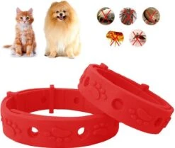 Merkloos EPIN | Vlooienband | Kat & Hond | Verstelbaar | Vlooien & Teken -Winkel Voor Kattenbenodigdheden 1200x1017