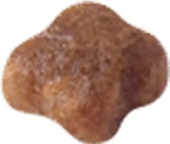 Royal Canin Mother & Babycat - Kattenvoer - 4 Kg -Winkel Voor Kattenbenodigdheden 1200x1018