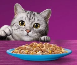 Whiskas 7+ Natvoer - Vis - Selectie In Gelei - Maaltijdzakjes 48 X 85 G 11 Whiskas 7+ Natvoer - Vis - Selectie In Gelei - Maaltijdzakjes 48 X 85 G -Winkel Voor Kattenbenodigdheden 1200x1019 1