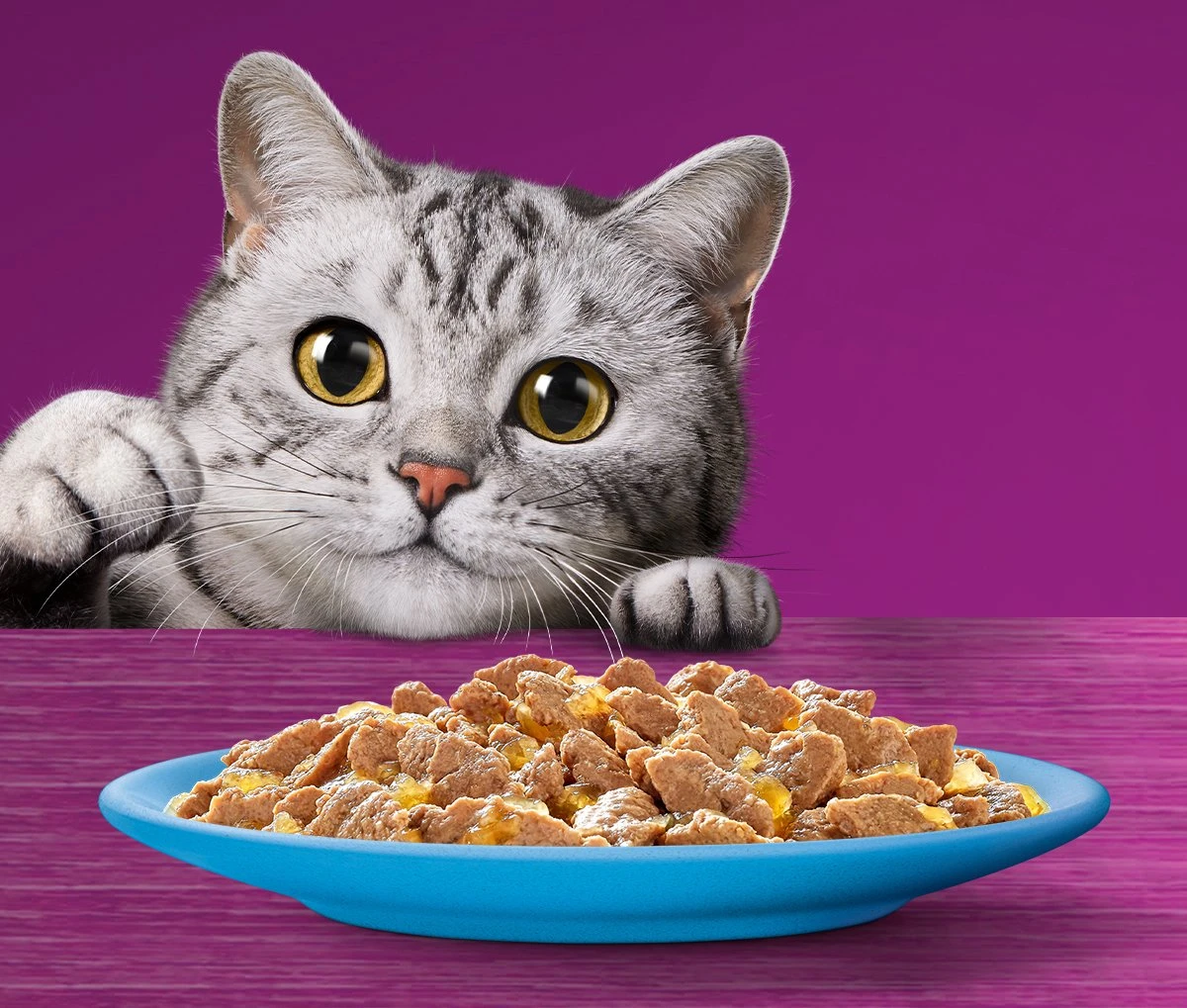 Whiskas 7+ Natvoer - Vis - Selectie In Gelei - Maaltijdzakjes 48 X 85 G 6 Whiskas 7+ Natvoer - Vis - Selectie In Gelei - Maaltijdzakjes 48 X 85 G - Afbeelding 4