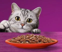 Whiskas 7+ Natvoer - Classic - Selectie In Saus - Maaltijdzakjes 48 X 85 G -Winkel Voor Kattenbenodigdheden 1200x1019