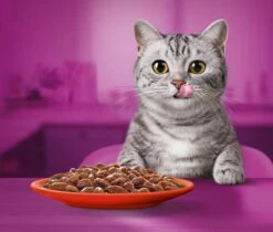 Whiskas 1+ Natvoer - Classic - Selectie In Saus - Maaltijdzakjes 40 X 85 G -Winkel Voor Kattenbenodigdheden 1200x1019 4