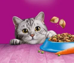 Whiskas 1+ Kattenbrokken - Tonijn - Zak 1 X 7 Kg -Winkel Voor Kattenbenodigdheden 1200x1019 6