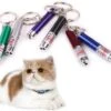 Merkloos Laser Lampje Voor Kat - Met Mini Zaklamp - Kattenlampje 1 Merkloos Laser Lampje Voor Kat - Met Mini Zaklamp - Kattenlampje -Winkel Voor Kattenbenodigdheden 1200x1021 3
