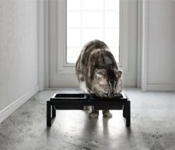 Yamazaki Eetbak - Voederbak Kat - Tweeledig - Zwart -Winkel Voor Kattenbenodigdheden 1200x1025 5