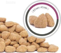 Husse Exclusive Katt Sterilised - Kattenvoer -7 Kg -Winkel Voor Kattenbenodigdheden 1200x1033 4