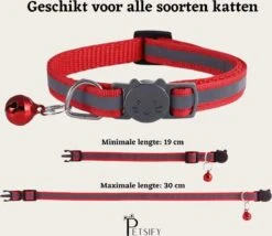 Petsify - Kattenhalsband Met Belletje - Veiligheidssluiting - Reflecterend - Halsband Kat - Halsband Kitten - Set Van 11 -Winkel Voor Kattenbenodigdheden 1200x1038 3