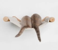 RHRQuality Wandmeubel Wandmontage Klimmuur Kat 53 X 43cm Luxe Hangmat XXL Creme Klim Wand Muur Krabpaal Katten Muurbevestiging -Winkel Voor Kattenbenodigdheden 1200x1041