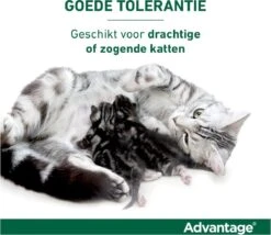 Bayer Advantage 40 Tegen Vlooien - <4kg - 4 X 0,4 Ml - Adult 36 Bayer Advantage 40 Tegen Vlooien - <4kg - 4 X 0,4 Ml - Adult -Winkel Voor Kattenbenodigdheden 1200x1042 1