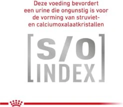 Royal Canin Gastro Intestinal - Kattenvoer - 4 Kg -Winkel Voor Kattenbenodigdheden 1200x1043 1