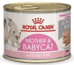 Royal Canin Wet Mother & Babycat Mousse - Kattenvoer - 195 Gr -Winkel Voor Kattenbenodigdheden 1200x1047