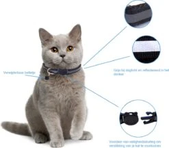 Kattenhalsband Veiligheidssluiting Kattenbandje Kitten Halsband Katten Halsband Reflecterend Verstelbaar 18-32Cm – Zwart -Winkel Voor Kattenbenodigdheden 1200x1047 5