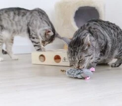 Pfotenolymp® Interactief Kattenspeelgoed / Speeldoos Met Speelballen & Speelmuis - Houten Speelgoed Voor Katten - Mollenspel / Vangspel / Jachtspel -Winkel Voor Kattenbenodigdheden 1200x1051 2