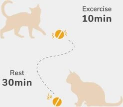 Cheerble Mini Ball 2.0 - Slimme Interactieve Zelf Rollende Bal Voor Katten - 3 Speelmodi - Kattenspeeltjes - USB Oplaadbaar - Rood -Winkel Voor Kattenbenodigdheden 1200x1051 3