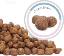 Husse Kattunge Kitten - 2 Kg - Kittenvoer - Kattenvoer - Kittenbrokjes 12 Husse Kattunge Kitten - 2 Kg - Kittenvoer - Kattenvoer - Kittenbrokjes -Winkel Voor Kattenbenodigdheden 1200x1054