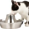 PetSafe® Seaside Stainless Steel Pet Fountain - RVS Drinkfontein Voor Katten En Kleine Honden - Water Borrelt Zacht Over De Toren - Door Het Design Van Alle Kanten Bereikbaar - 1,8 Liter - PetSafe Seaside -Winkel Voor Kattenbenodigdheden 1200x1055 3