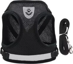 Merkloos Kattentuigje Met Looplijn | Zwart Kattenharnas | Easy Step In | Kattenriem | Kattenlijn | Kattentuig | Maat L