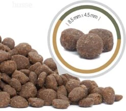 Husse Opus Lynx Graanvrij Kattenvoer - 7 Kg 12 Husse Opus Lynx Graanvrij Kattenvoer - 7 Kg -Winkel Voor Kattenbenodigdheden 1200x1056