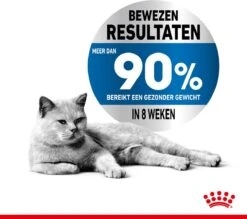 Royal Canin Light Weight Care - 3 Kg 17 Royal Canin Light Weight Care - 3 Kg -Winkel Voor Kattenbenodigdheden 1200x1064 2