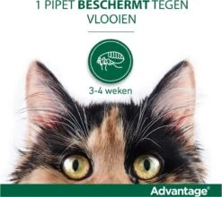 Bayer Anti Vlooienmiddel Advantage 80 > 4 Kg - 4 X 0,8 Ml -Winkel Voor Kattenbenodigdheden 1200x1070 2