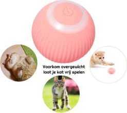 Otiume Slimme Katten Speeltje - Interactieve Zelf Rollende Bal Voor Katten - Kattenspeeltjes - USB Oplaadbaar- Turquoise 14 Otiume Slimme Katten Speeltje - Interactieve Zelf Rollende Bal Voor Katten - Kattenspeeltjes - USB Oplaadbaar- Turquoise -Winkel Voor Kattenbenodigdheden 1200x1072