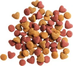 Lara Kitten (2 KG) -Winkel Voor Kattenbenodigdheden 1200x1080