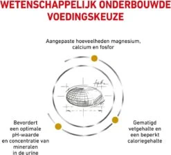 Royal Canin Urinary S/O Moderate Calorie - Kattenvoer - 9 Kg -Winkel Voor Kattenbenodigdheden 1200x1089